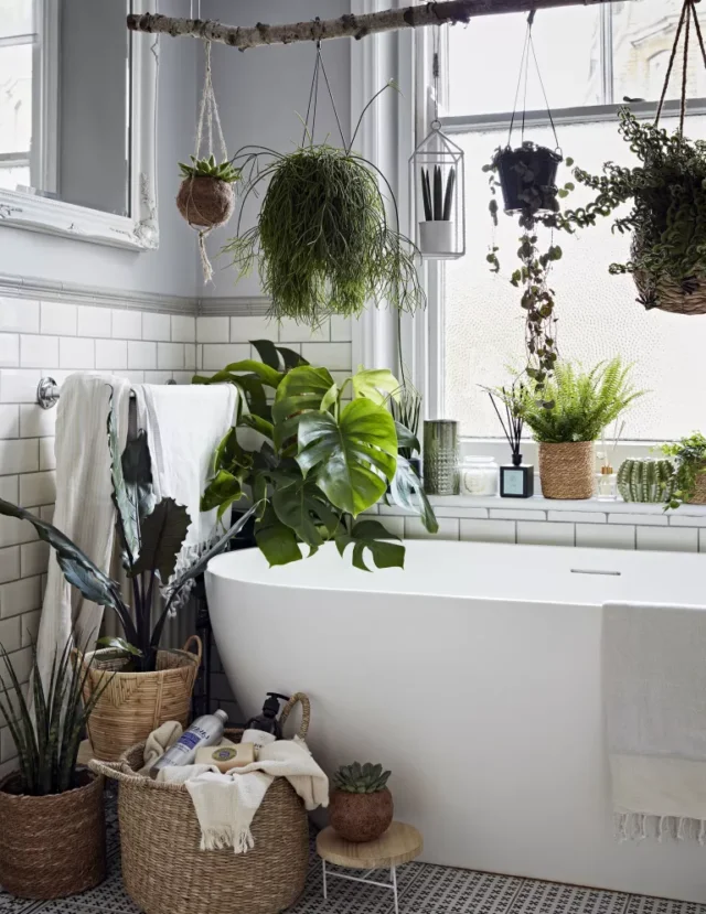bagno pieno di piante da appartamento