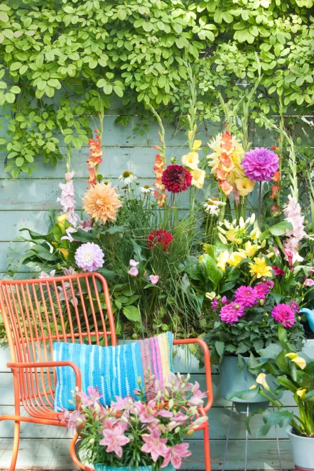 combinazioni di colori del giardino: dalie dai colori vivaci e sedia arancione