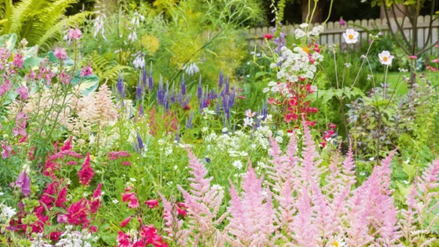 come creare un giardino ecologico: piantagione di cottage garden