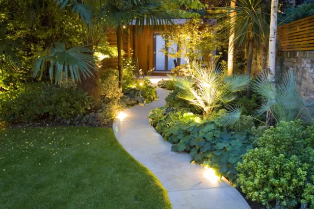 come progettare l'illuminazione del giardino: sentiero del giardino e piante tropicali