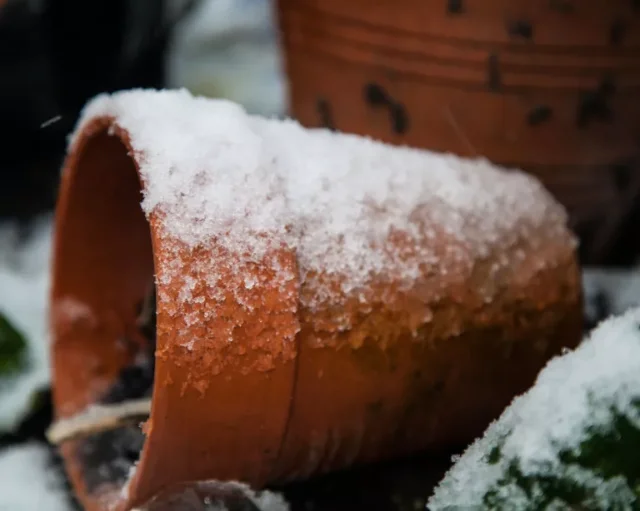 come proteggere le piante dalla neve vaso di terracotta coperto di neve
