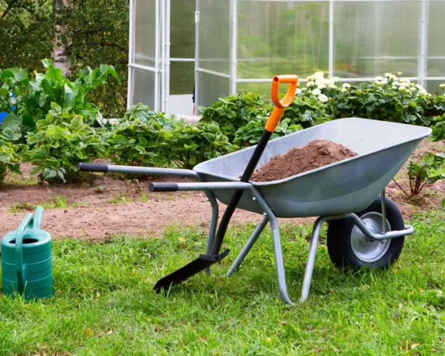 compost e terriccio in carriola in giardino