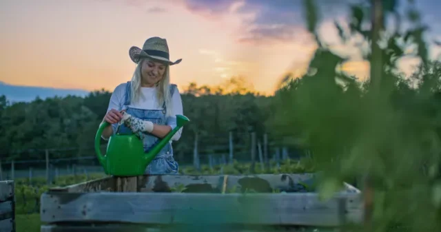 consigli per il risparmio idrico in giardino: Donna che annaffia le piante la sera
