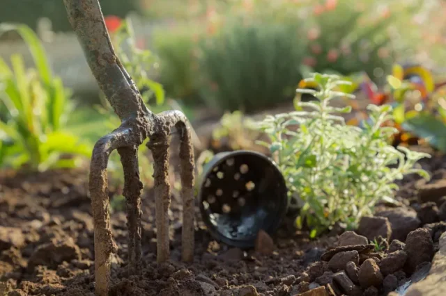 consigli per il risparmio idrico in giardino: Scavare nel fertilizzante per aiutare la salute del suolo