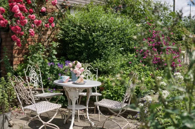 consigli per la cura delle rose: patio del giardino del cottage con rosa rampicante