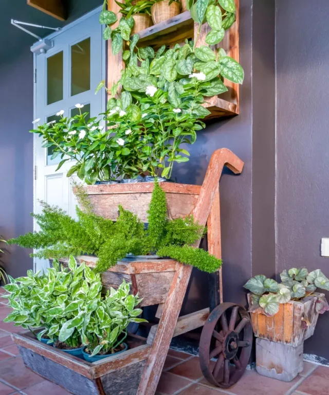 Esposizione di piante da giardino verticale nel portico anteriore