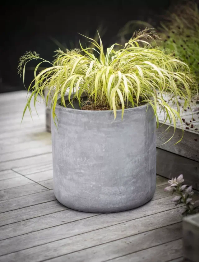 Fioriera Brockwell di Garden Trading con Japanese Forest Grass