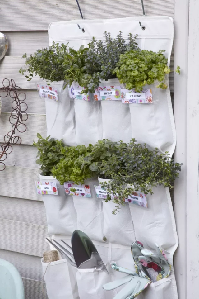 Fioriere tascabili utilizzate per coltivare un giardino di erbe su un muro