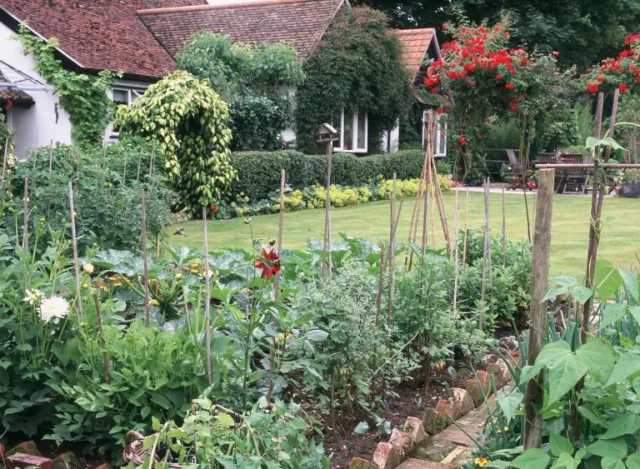 giardinaggio biologico: giardino di casa con orto