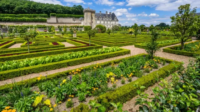 i giardini tradizionali di Chateau de Villandry