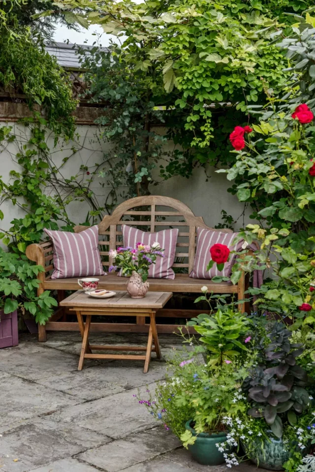 idee di giardinaggio nel patio: panchina con piante rampicanti sul muro dietro