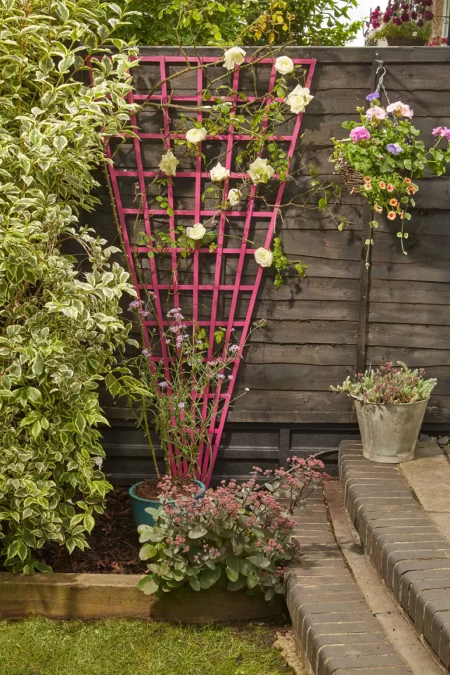 idee di giardinaggio nel patio: traliccio rosa