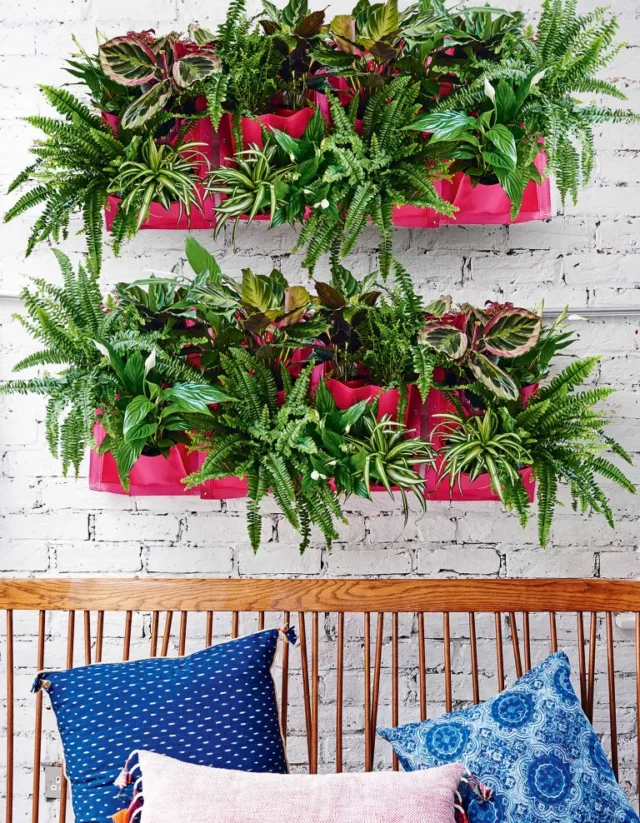 idee di piante da interno: fioriere rosa a muro