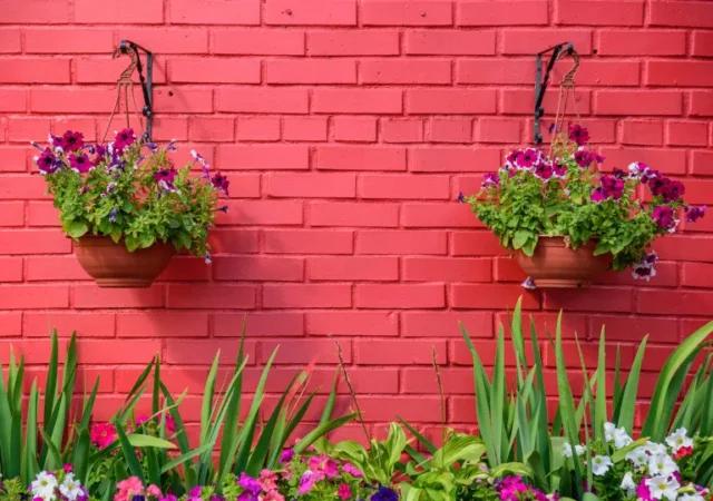 idee per cesti appesi: due cesti davanti a un muro rosa brillante