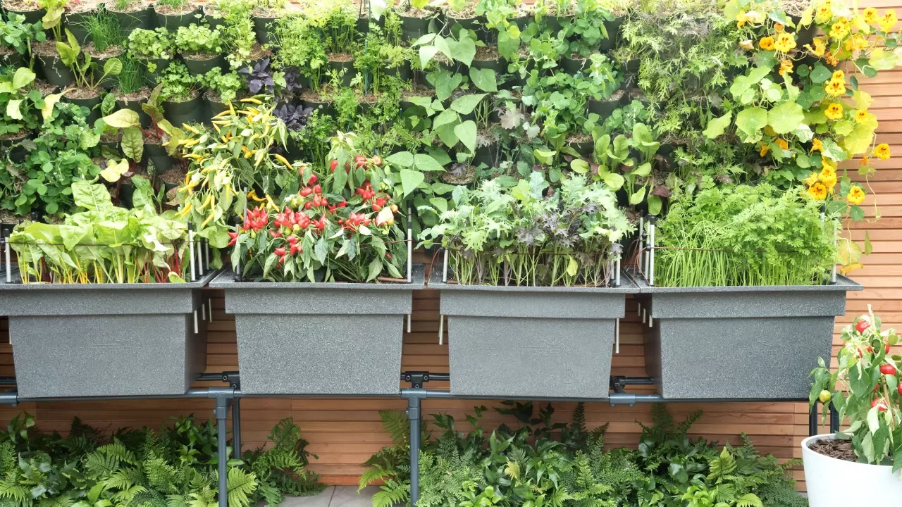 Idee per il giardino verticale: 12 modi per massimizzare lo spazio delle  piante