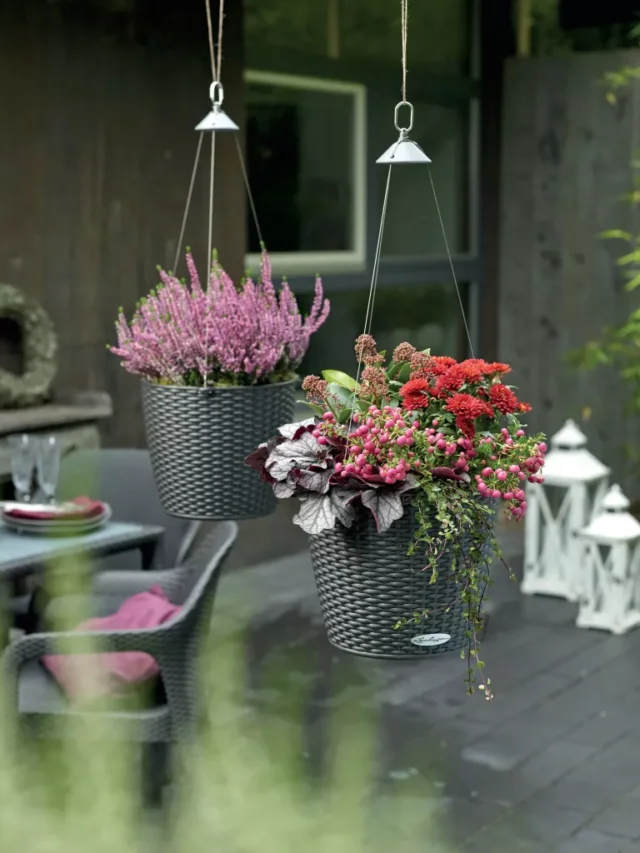 idee per il giardinaggio nel patio: cesti appesi di LECHUZA