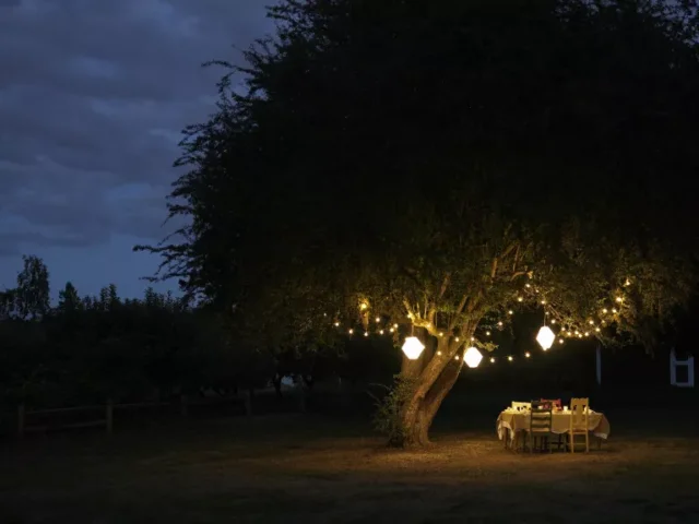 idee per l'illuminazione dell'albero all'aperto: albero illuminato sull'erba con tavolo e sedie