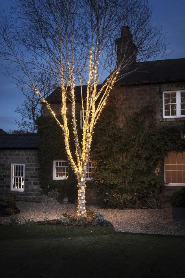 Idee per l'illuminazione dell'albero all'aperto: luci fatate intorno all'albero