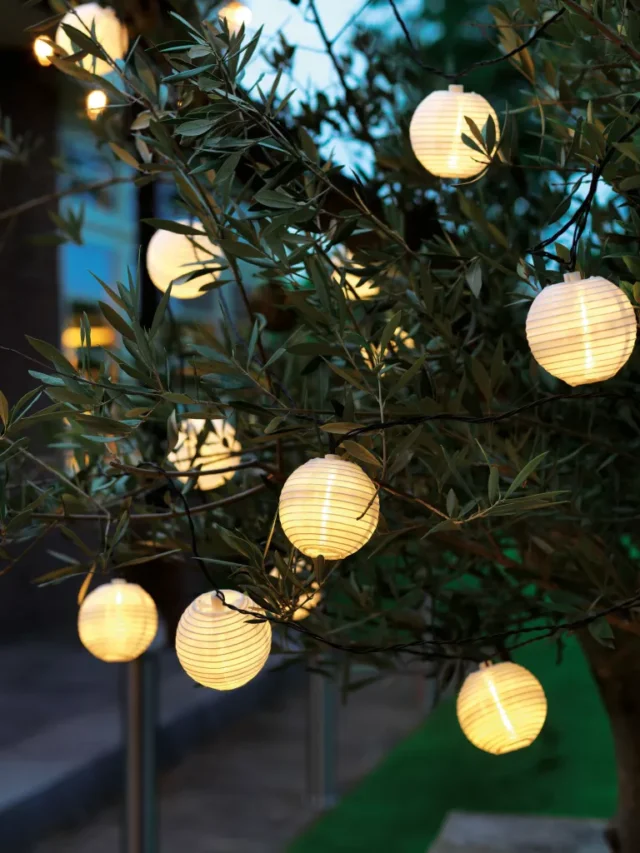 idee per l'illuminazione dell'albero all'aperto: luci solari