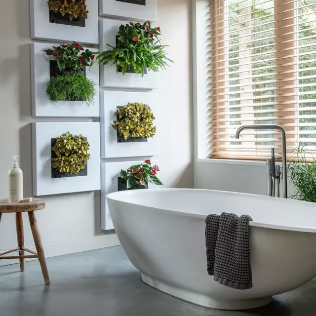 idee per piante da interno: bagno decorato con fioriere da parete vive di Botanical Boys