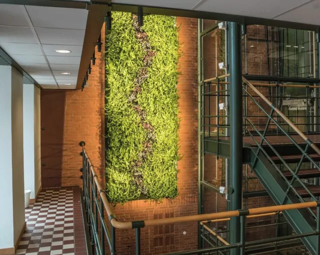 idee per piante da interno: parete vivente in corridoio