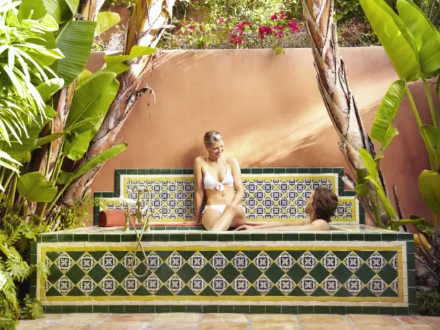 idee vasca idromassaggio: spa piastrellata con piante tropicali