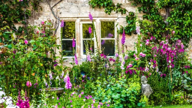 Il giardino del potager si trova vicino a una finestra per un punto di vista migliore