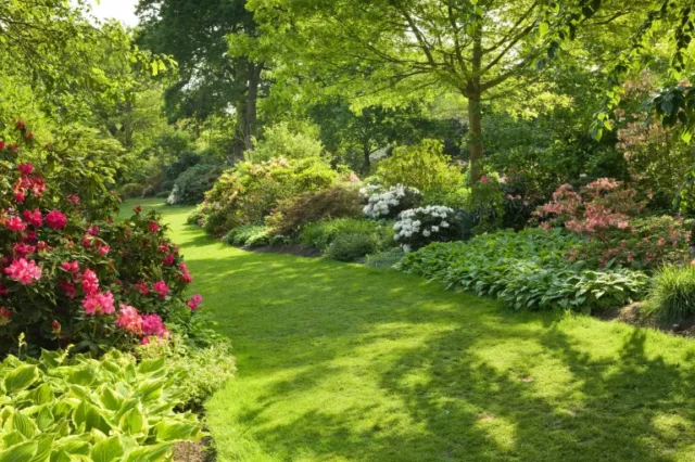 lavori primaverili in giardino: prato al RHS garden wisley