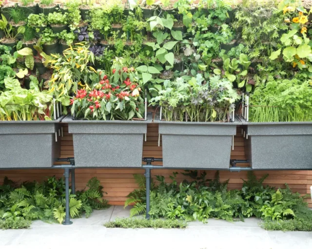 Parete vivente realizzata con fioriere pocket wall con giardino rialzato in container davanti