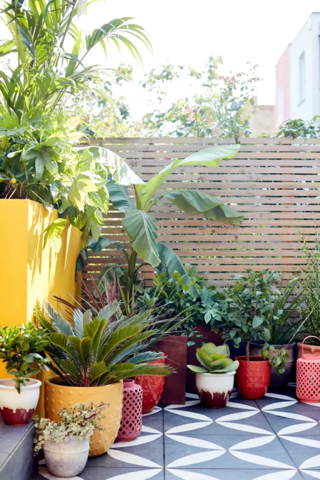 piante in vasi colorati nel patio