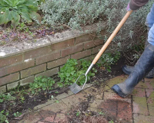 Rimuovere le erbacce e i detriti da un patio usando una zappa