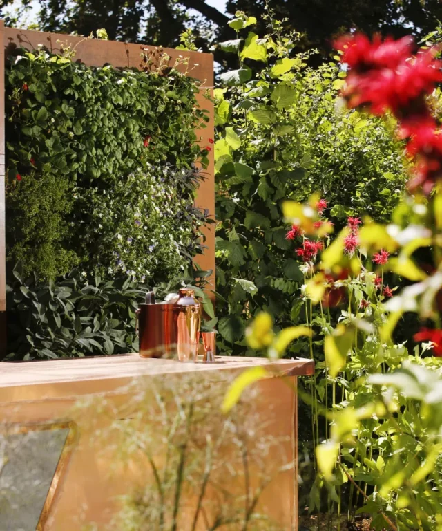 Una parete di erbe aromatiche come parte di una cucina esterna in un giardino progettato da Anca Panait