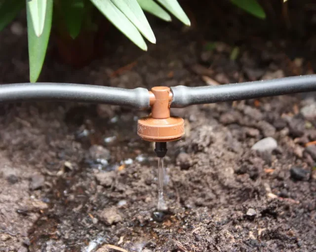 Utilizzo di un sistema di irrigazione automatico per mantenere le piante in contenitore da giardino annaffiate durante una vacanza
