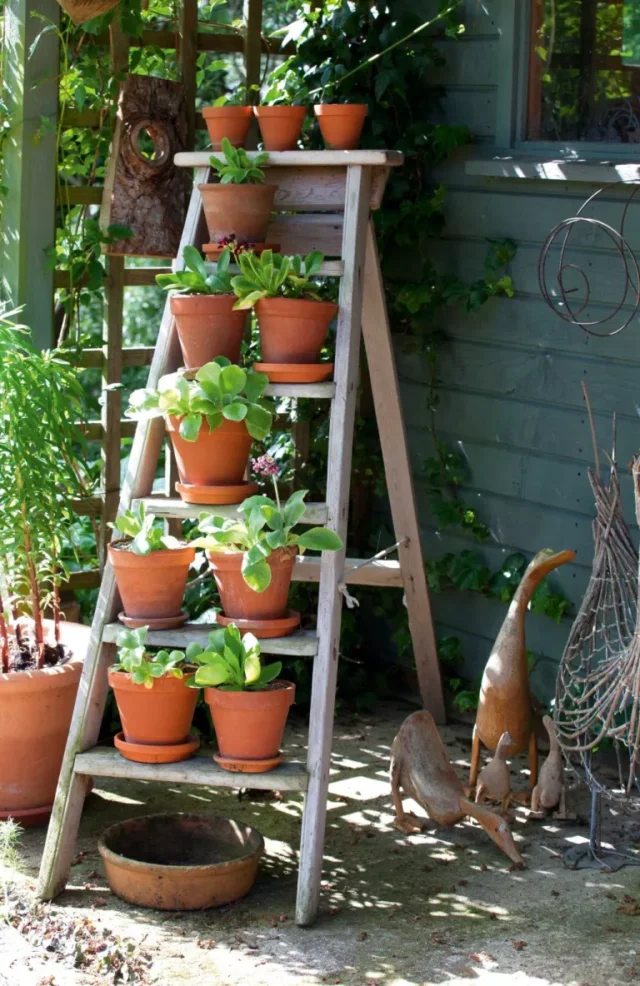 Vasi di terracotta con piante su una scala in un giardino