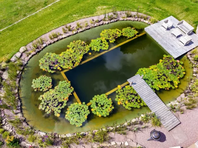vista aerea di piscina naturale di Poolscape